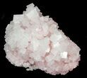 Pink Halite Crystal Plate - Trona, California #40547-1